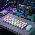 Ninja Dragons Gaming Keyboard and Mouse