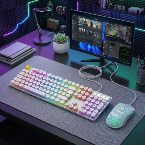 Ninja Dragons Gaming Keyboard and Mouse